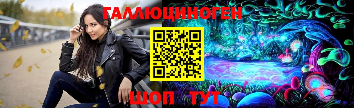 Галлюциногенные грибы Cubensis Кизилюрт